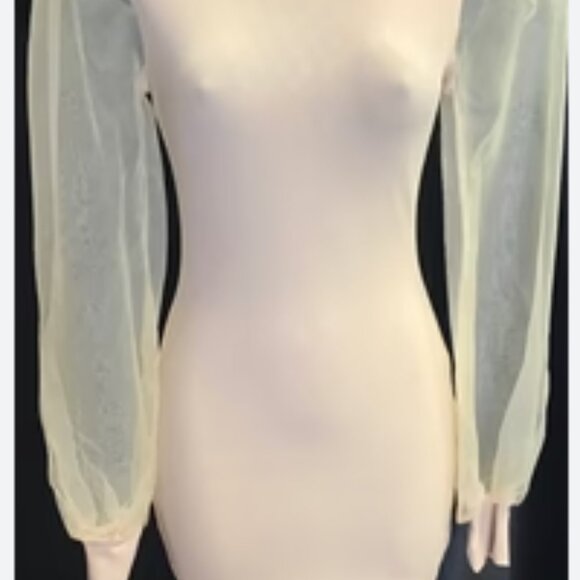 Elegant White Dress with Sheer Sleeves - Picture 1 of 2